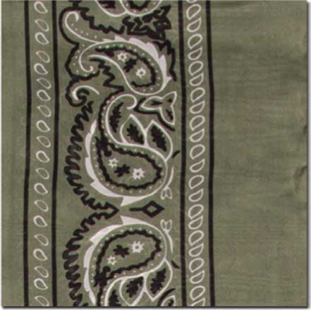 Sage Bandana Silk Scarf