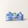 Sorority Satin Bow Clip