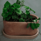 Handmade Oval Concrete Vessel with Base