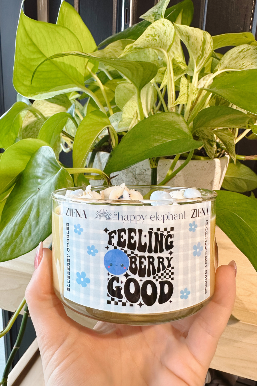 close up of feeling berry good candle in front of a plant 