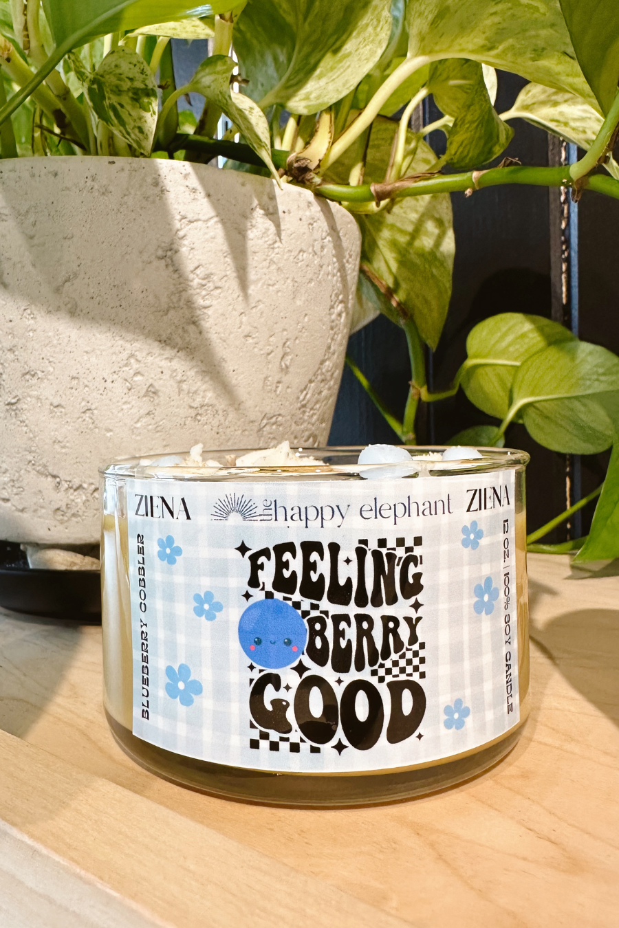 feeling berry good candle sitting on a shelf, in front of a plant 