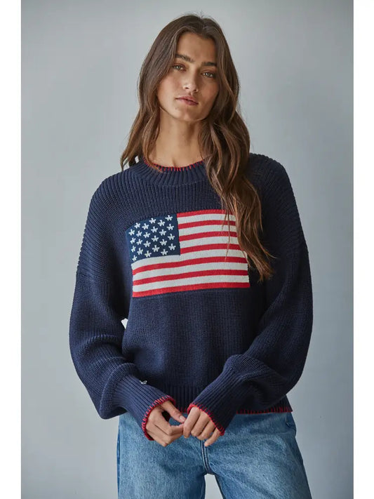 Knit Sweater Crew American Flag Pullover