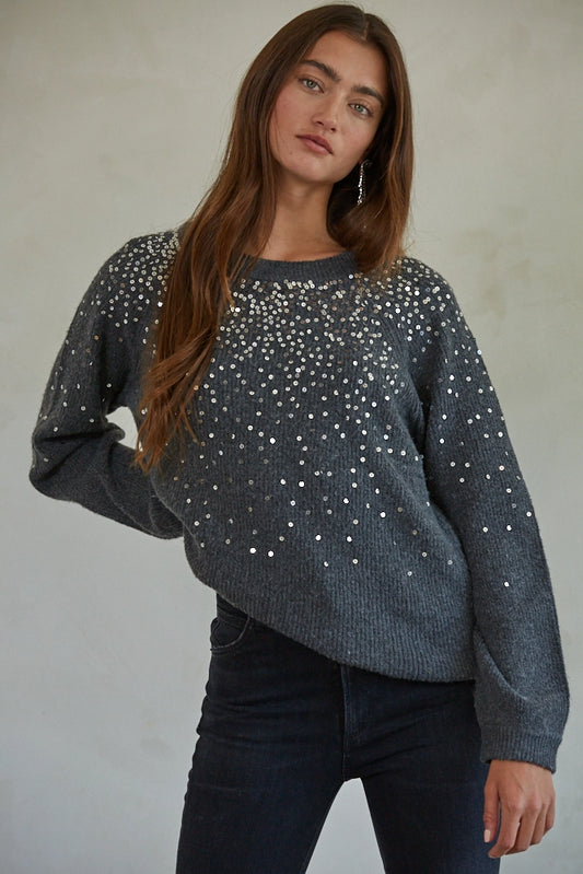 Knit Sweater Ribbed Sequin Detail Crew Neck Pullover