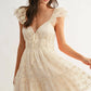 Chiffon Flutter Embroidered Sleeve Mini Dress