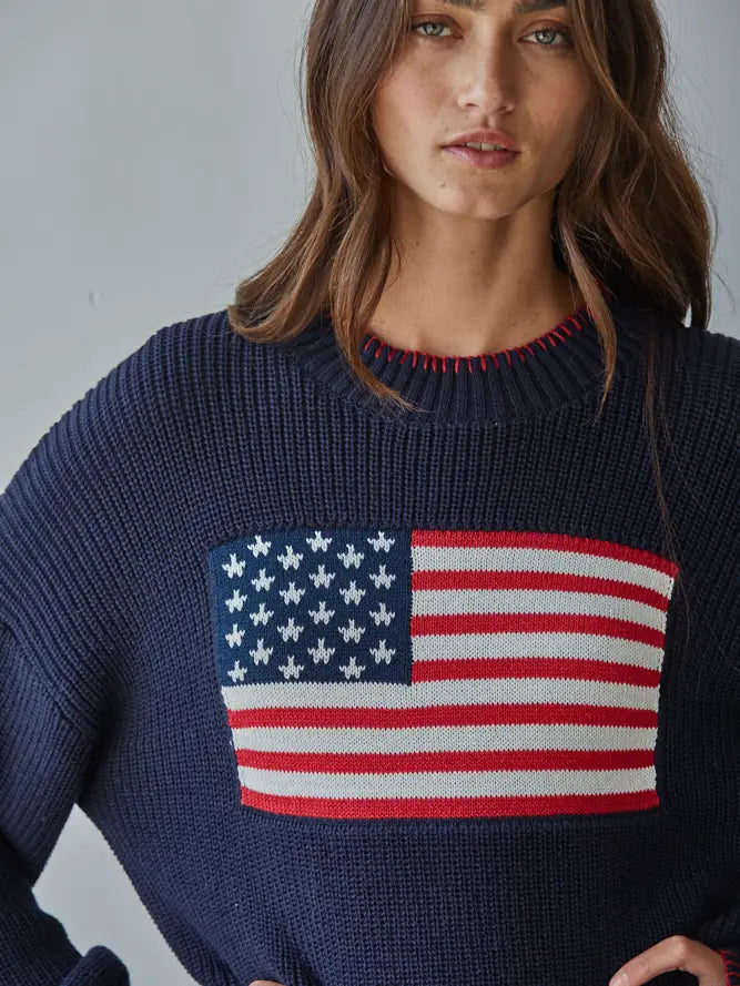 Knit Sweater Crew American Flag Pullover