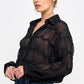 Romantic Sheer Button Front Blouse