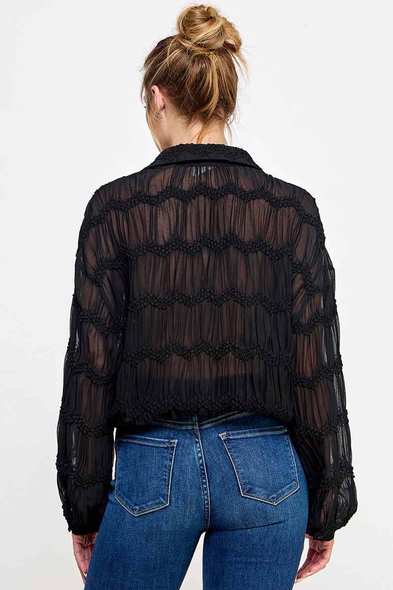Romantic Sheer Button Front Blouse