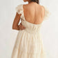 Chiffon Flutter Embroidered Sleeve Mini Dress