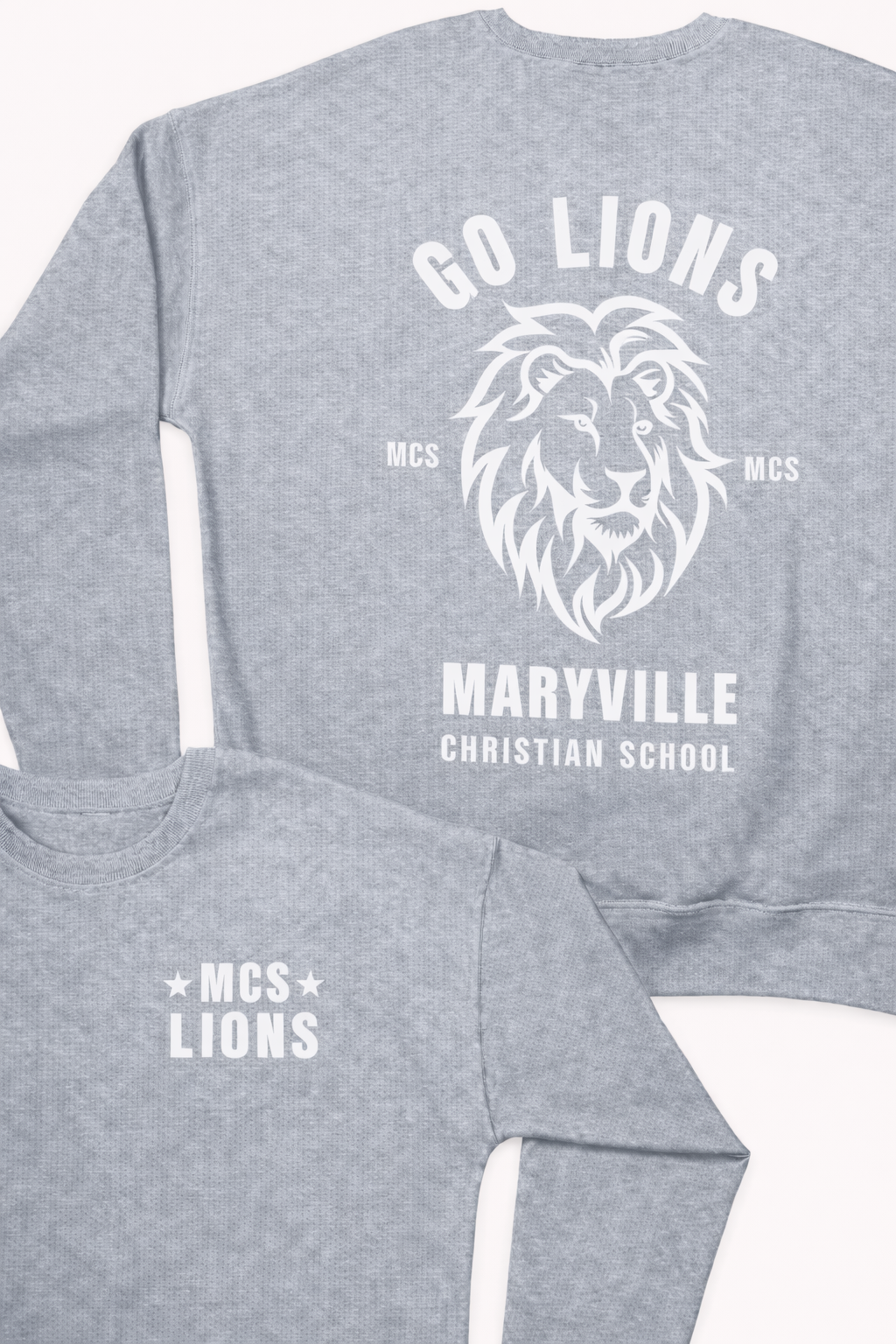 MCS LIONS
