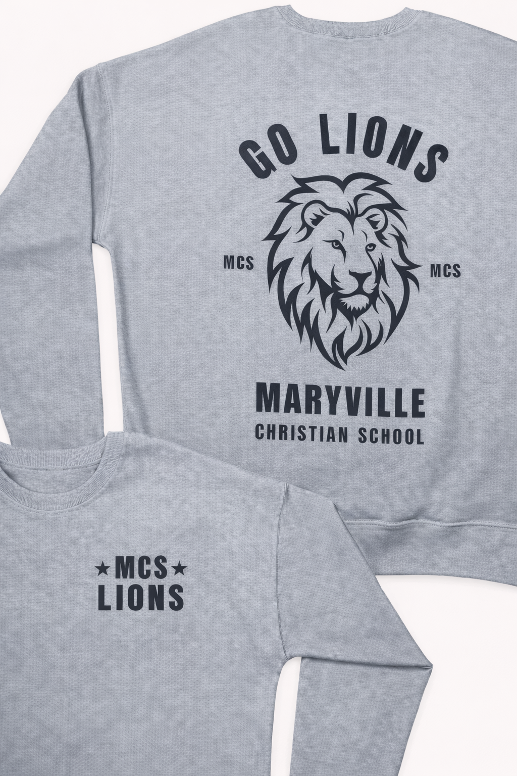 MCS LIONS