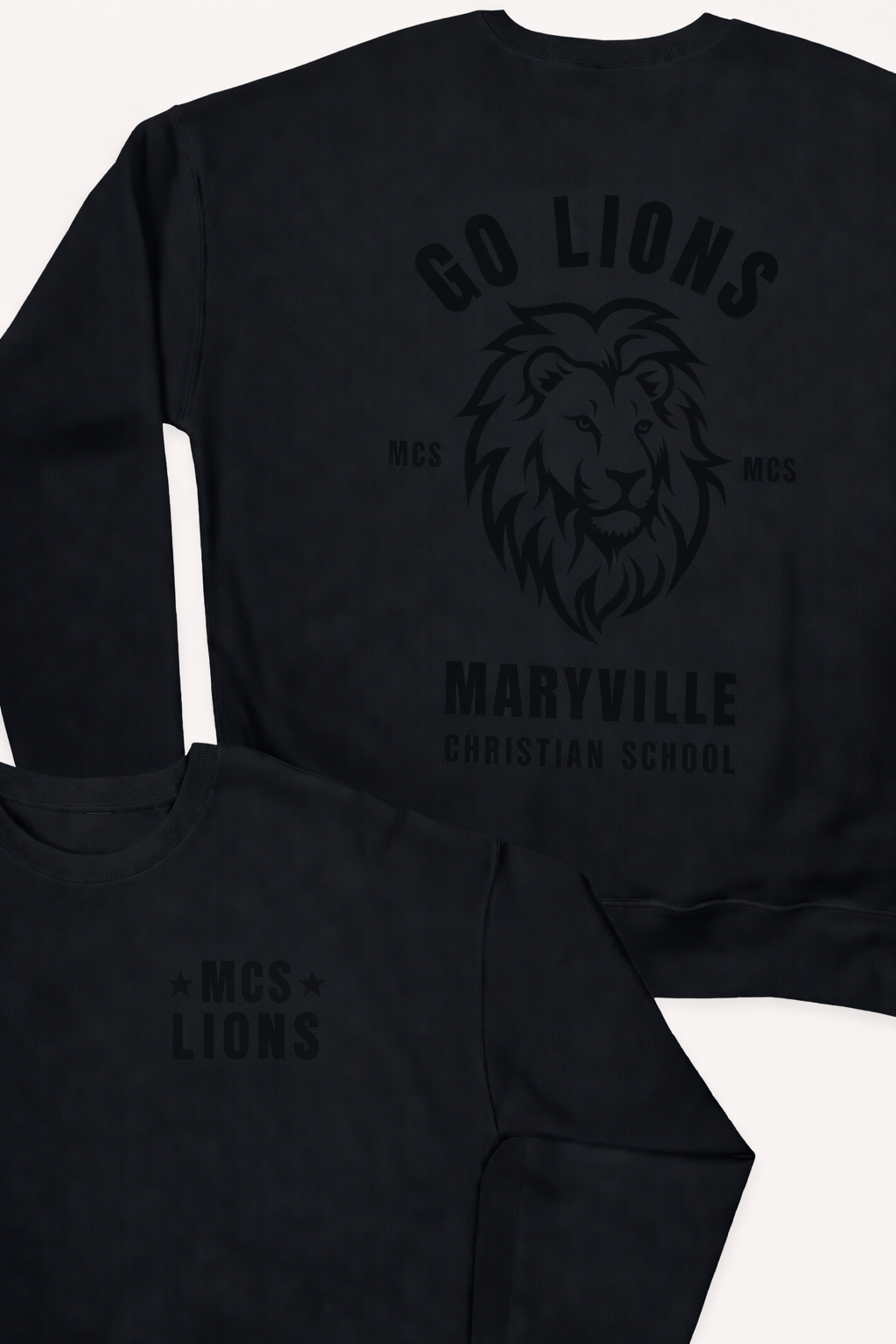 MCS LIONS
