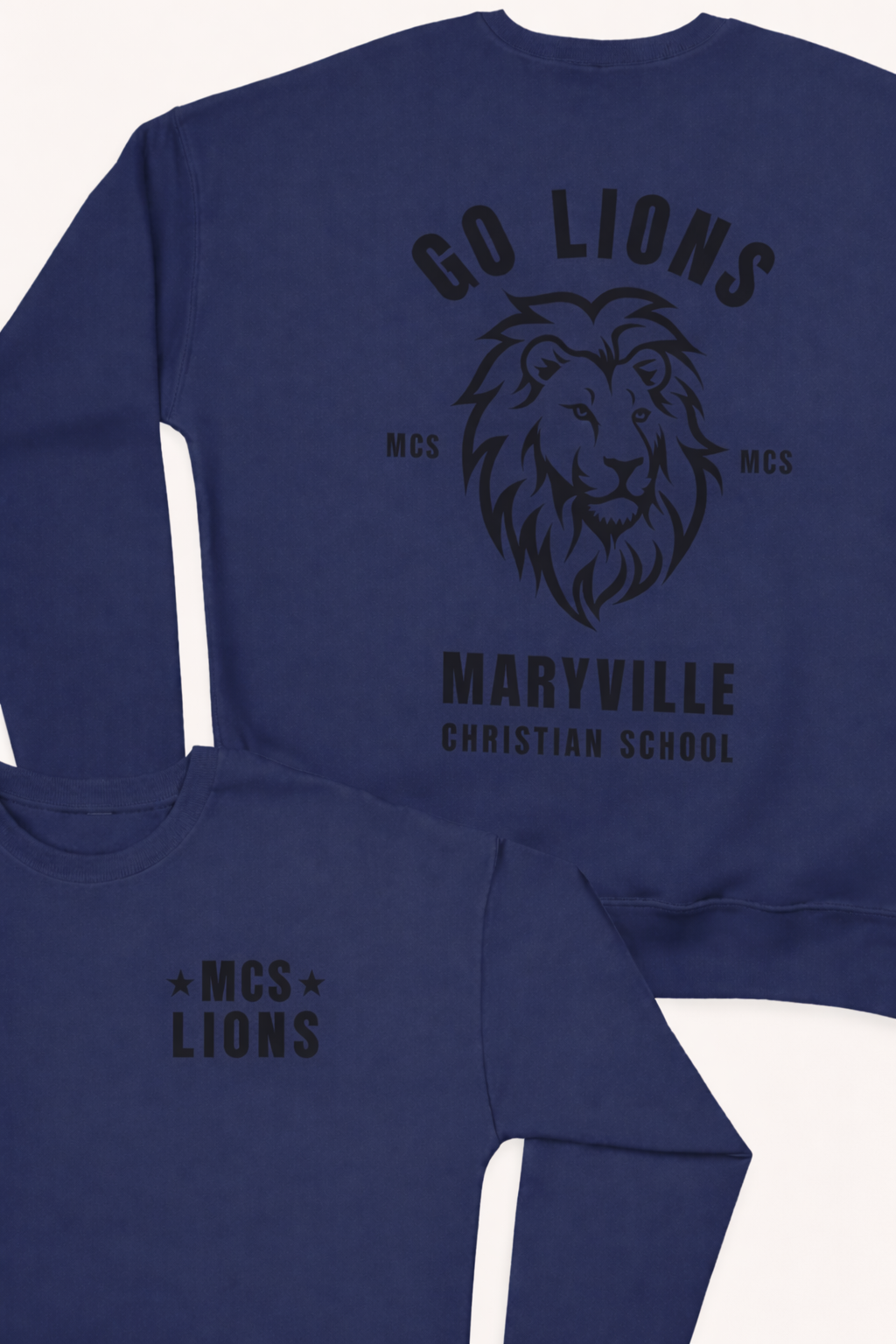MCS LIONS