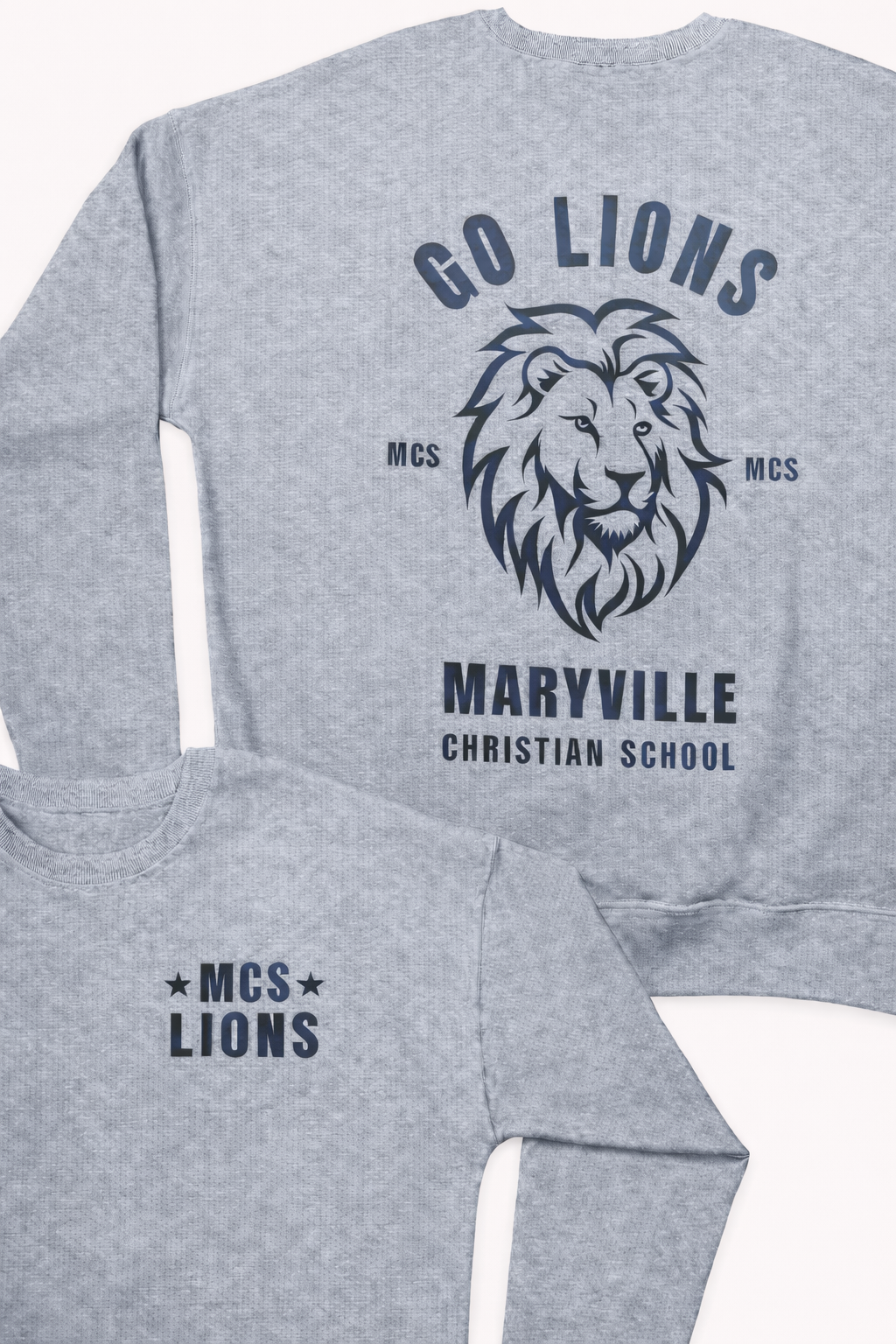 MCS LIONS