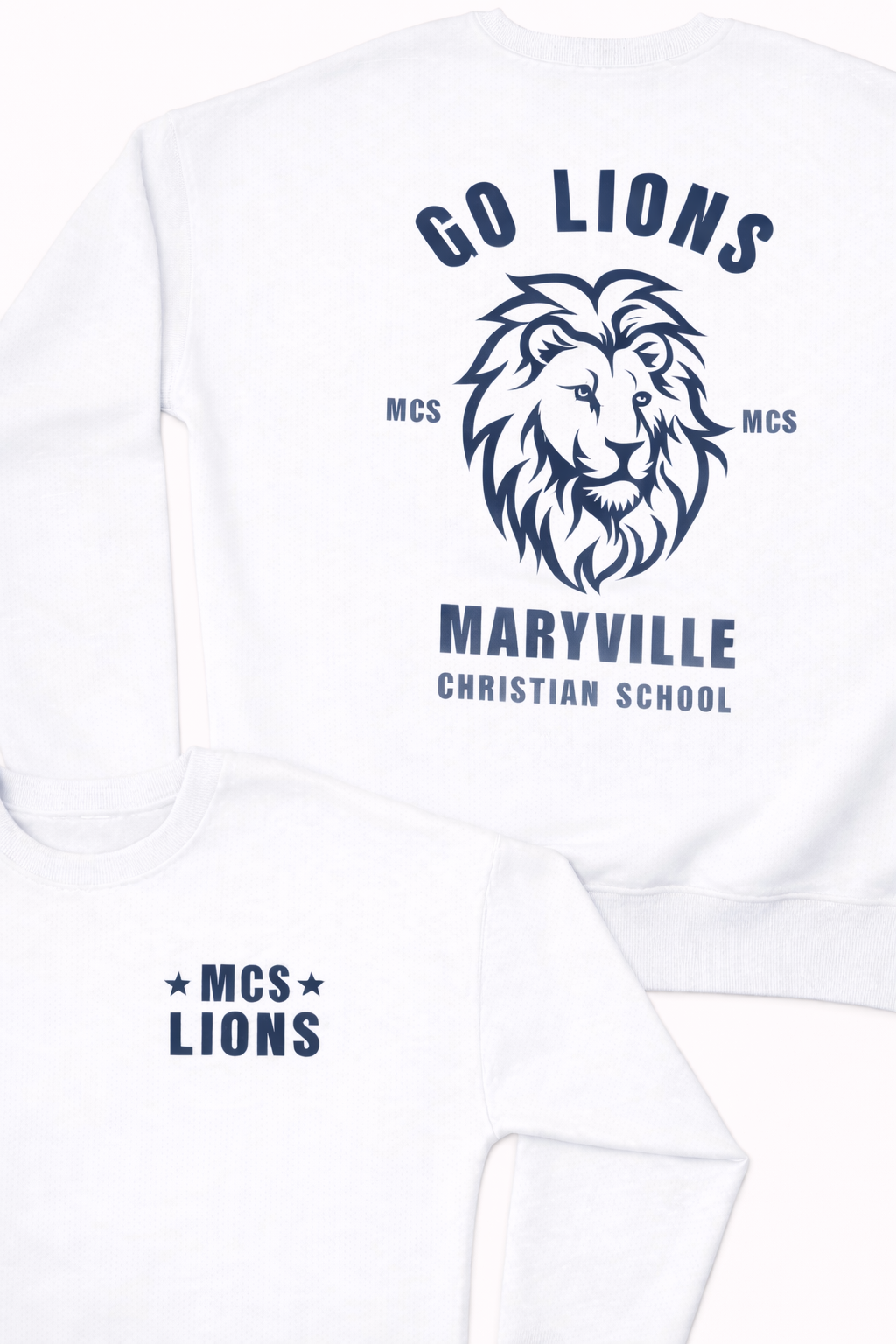 MCS LIONS