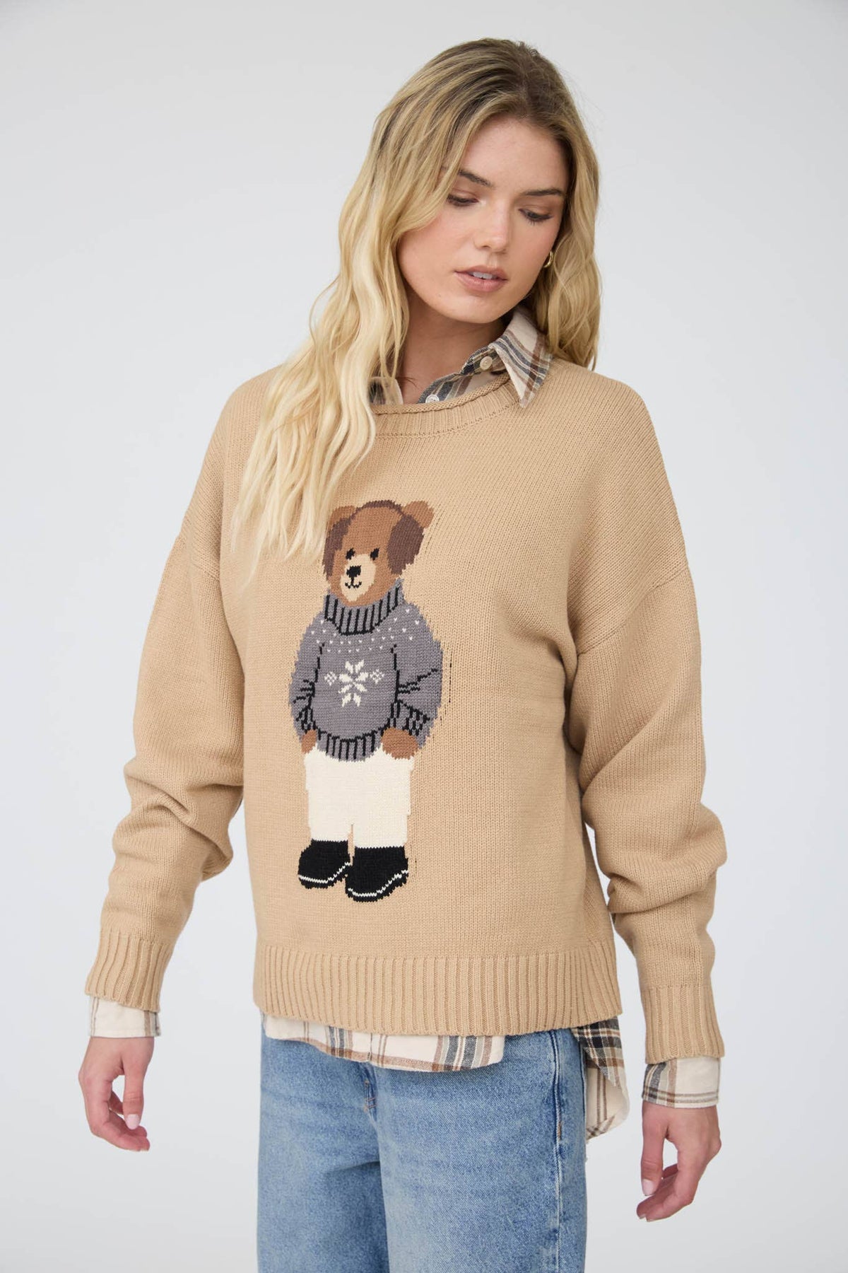 Teddy Bear Crew Neck Intarsia Knit Sweater